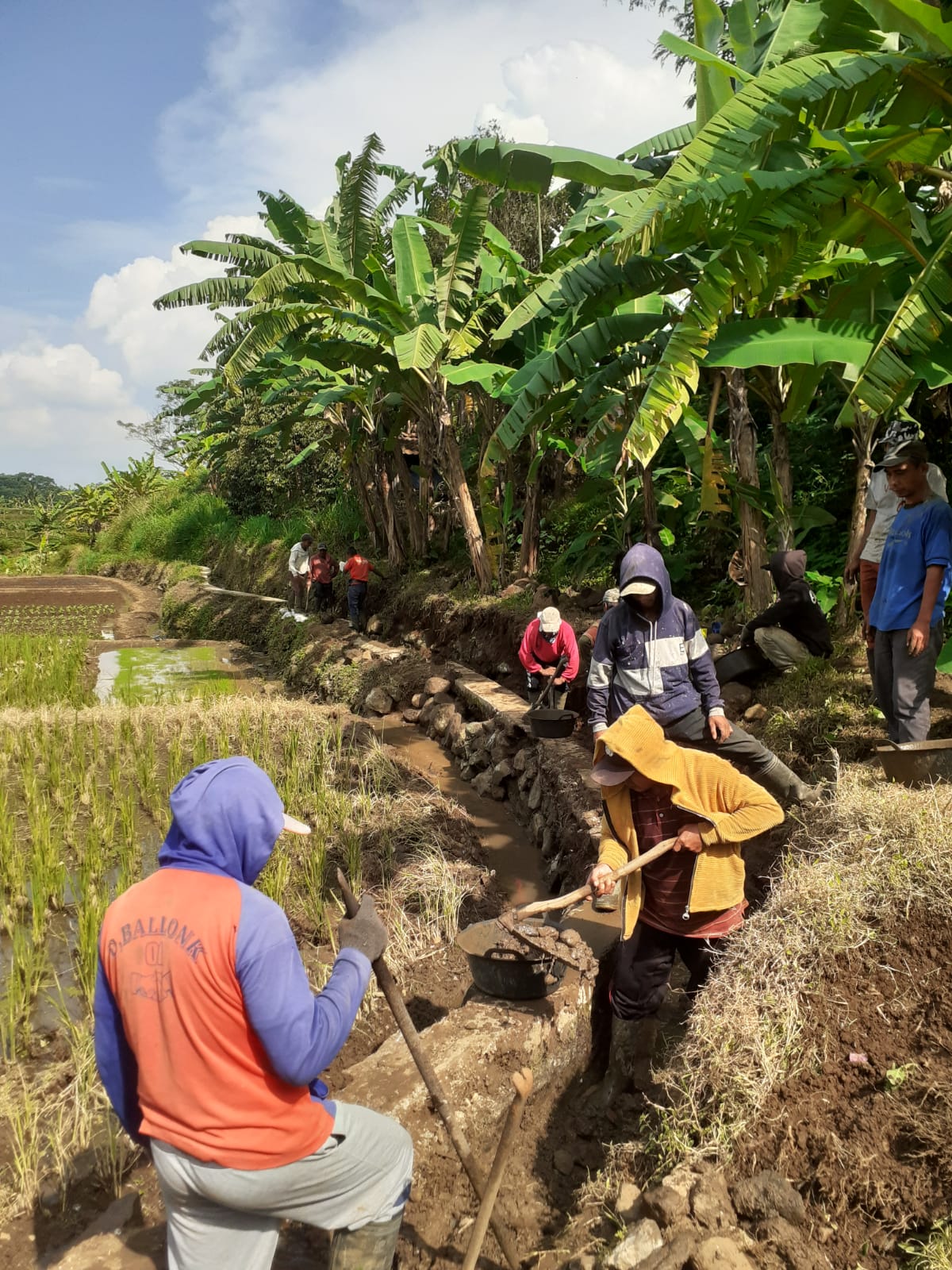 Pembangunan/ Rehabilitasi Peningkatan Saluran Irigasi Tersier/ Sederhana